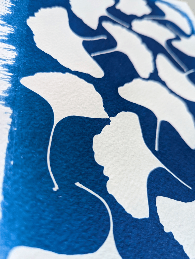 Cyanotype Ginkgo Biloba (A4) - n°379 - sans cadre