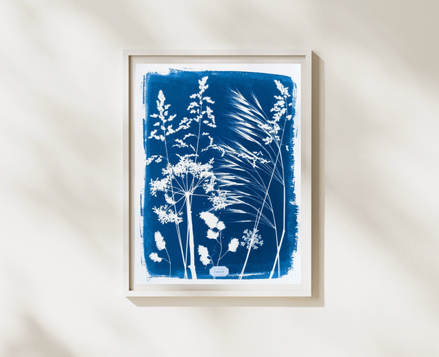 Cyanotype Poaceae (30x40 cm) - n°345 - sans cadre