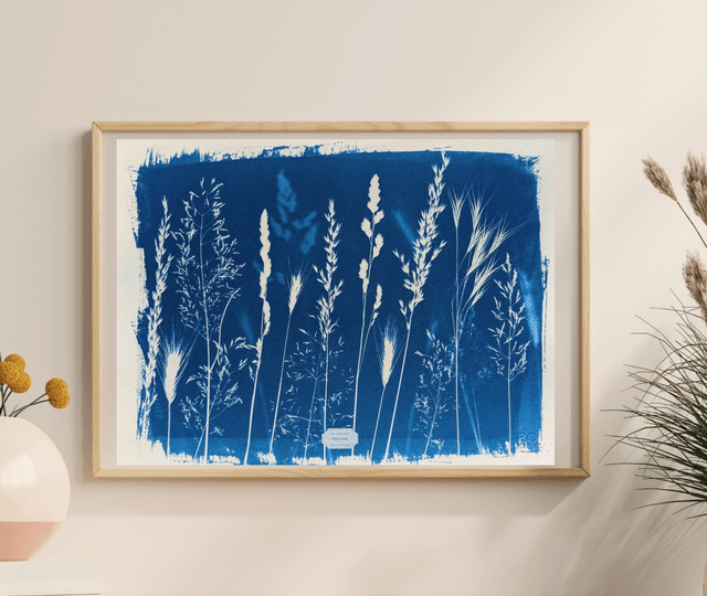 Cyanotype Poaceae (30x40 cm) - n°396 - sans cadre