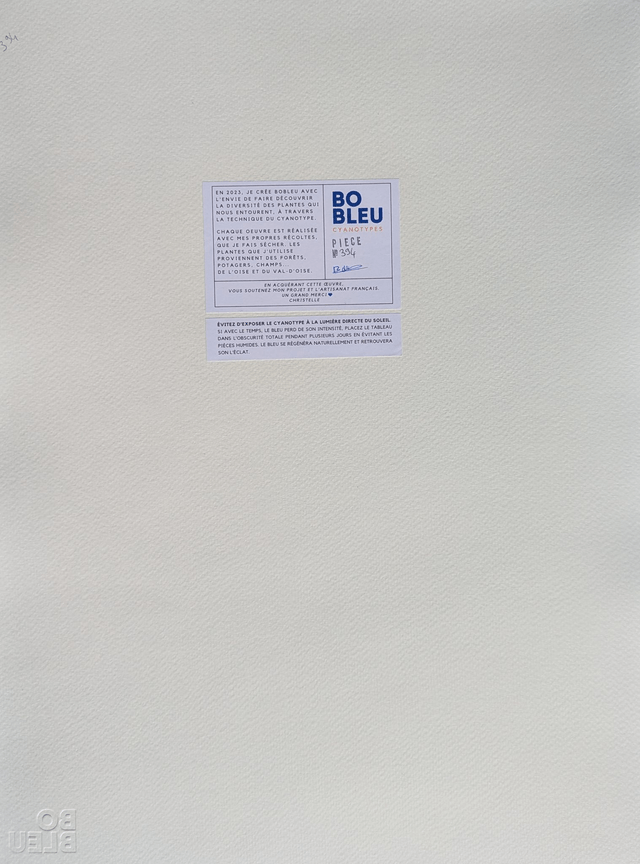 Cyanotype Hydrangea (30x40 cm) - n°394 - sans cadre