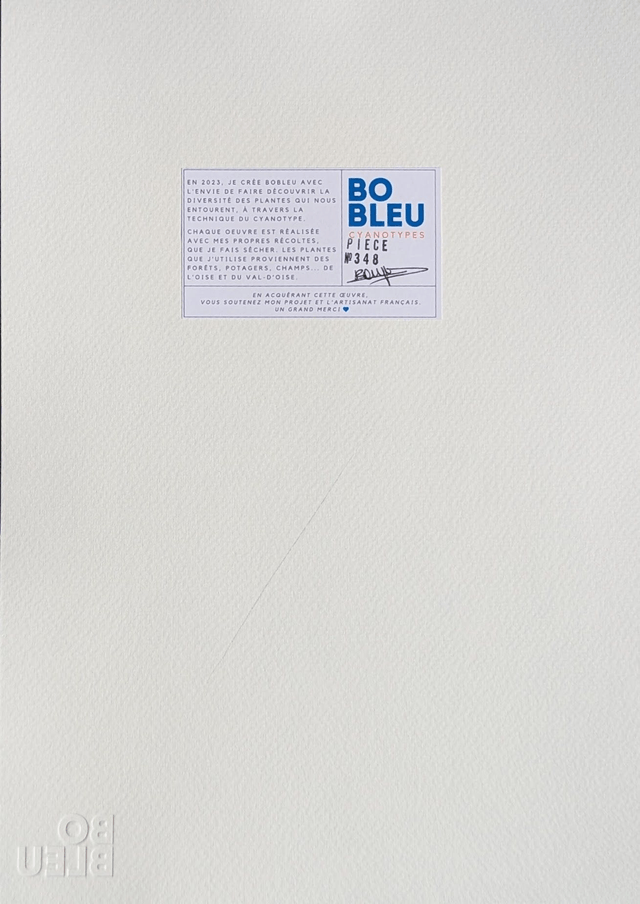 Cyanotype Anisantha (A4 21x29,7 cm) - n°348 - sans cadre