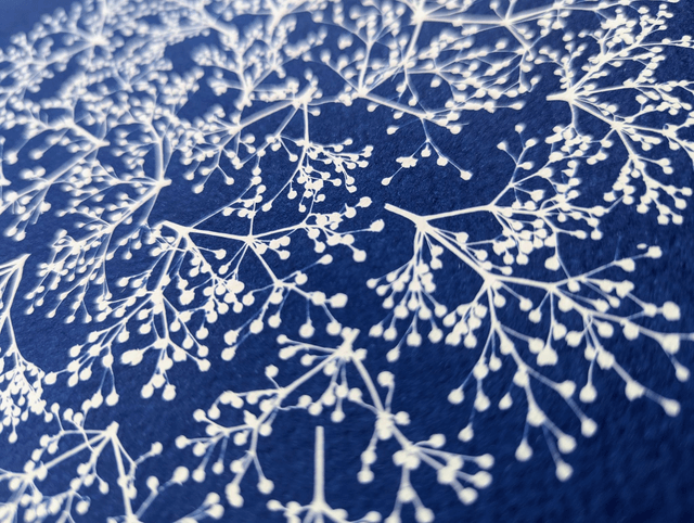Cyanotype Photinia (A4 21x29,7 cm) - n°334 - sans cadre
