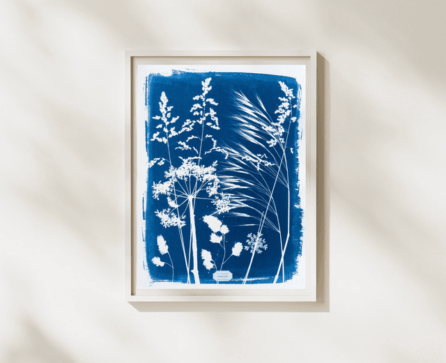Cyanotype Poaceae (30x40 cm) - n°345 - sans cadre