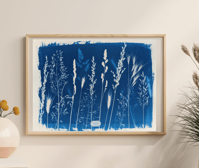 Cyanotype Poaceae (30x40 cm) - n°396 - sans cadre