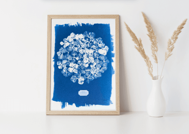 Cyanotype Hydrangea (A4) - n°385 - sans cadre
