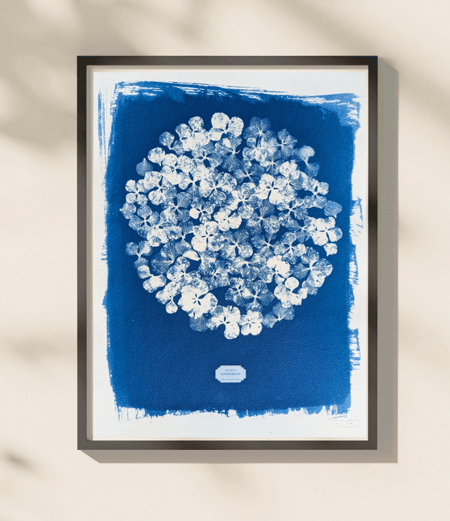Cyanotype Hydrangea (30x40 cm) - n°394 - sans cadre